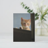 Chat-Peering im Fenster Postkarte (Stehend Vorderseite)