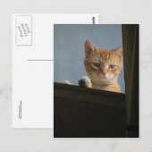 Chat-Peering im Fenster Postkarte (Vorne/Hinten)