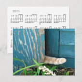 Chat Schwanz Kalender ~ Postkarte (Vorne/Hinten)