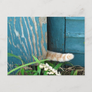 Chat Schwanz Kalender ~ Postkarte
