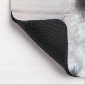 Chat sitzt und aufsucht mousepad (Ecke)