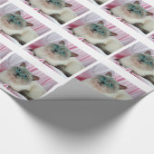 Chat-Suche Geschenkpapier (Ecke)