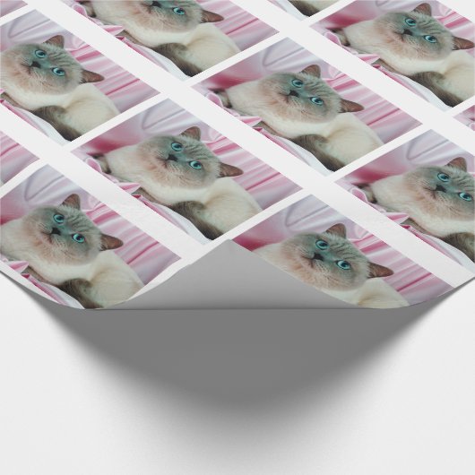 Chat-Suche Geschenkpapier (Ecke)