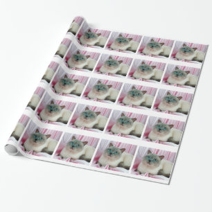 Chat-Suche Geschenkpapier