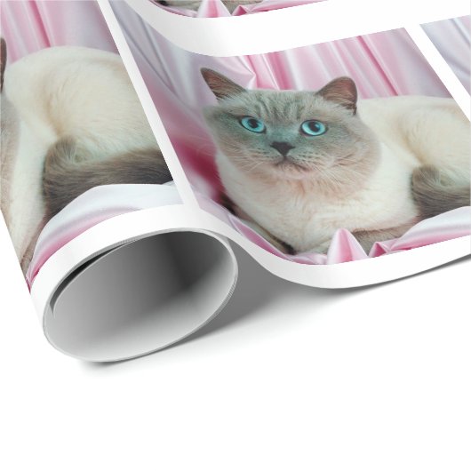 Chat-Suche Geschenkpapier (Rolleneckpunkt)