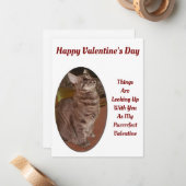 Chat sucht nach einem Valentinziffer für digitale  Mitteilungskarte (Vorderseite/Rückseite Beispiel)