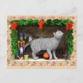 Chat und Weihnachtszeug Postkarte (Vorderseite)