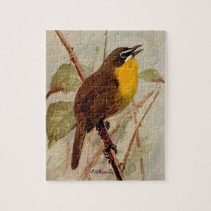 Chat von Louis Agassiz Futes Puzzle