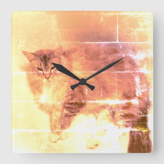 Chat Wall Clock Quadratische Wanduhr (Vorderseite)
