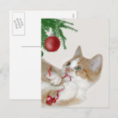 Chat Weihnachtsspass Feiertagspostkarte (Vorne/Hinten)
