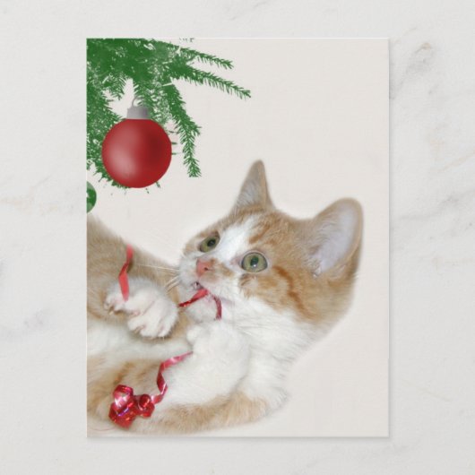 Chat Weihnachtsspass Feiertagspostkarte (Vorderseite)