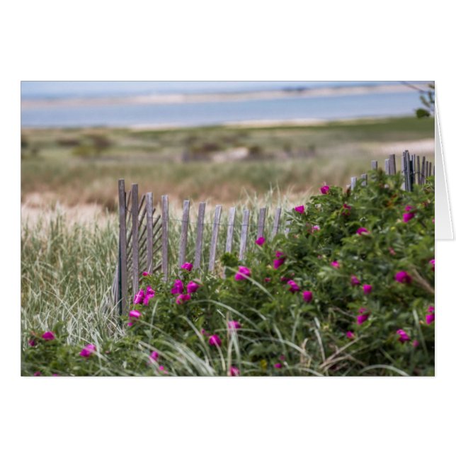 Chatam Light Beach Fence (Vorderseite (Horizontal))