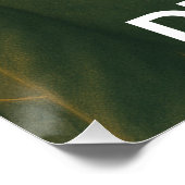 Chate Ne Paient Pas d'Impôts Poster (Ecke)