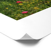 Chateau d'Amboise Poster (Ecke)