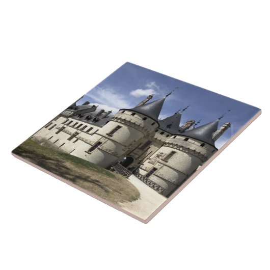 Chateau de Chaumont-Sur-Loire. Fliese (Seite)