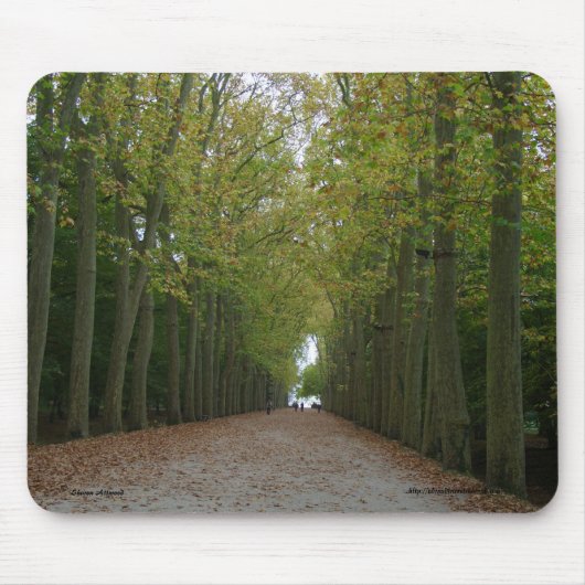Chateau de Chenonceau Mousepad (Vorne)