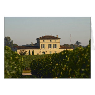 Chateau Lafleur Petrus und Weinberg, in Pomerol,
