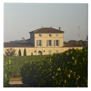 Chateau Lafleur Petrus und Weinberg, in Pomerol, Fliese