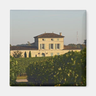 Chateau Lafleur Petrus und Weinberg, in Pomerol, Magnet