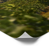 Chateau Lafleur Petrus und Weinberg, in Pomerol, Poster (Ecke)