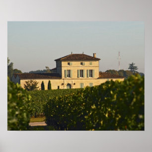 Chateau Lafleur Petrus und Weinberg, in Pomerol, Poster