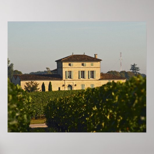 Chateau Lafleur Petrus und Weinberg, in Pomerol, Poster (Vorne)