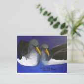 Chatham Albatross (Thalassarche eremita) Postkarte (Stehend Vorderseite)