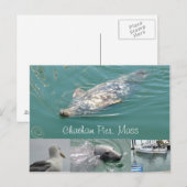 Chatham, Massenpostkarte mit Niedlichen Siegeln Postkarte (Vorne/Hinten)