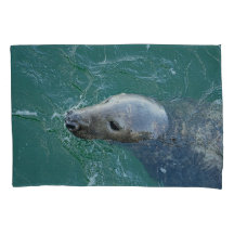 Chathams feinste graue Siegel