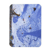 Chatsworth winter tree shadows 2013 magnet (Vertikal)