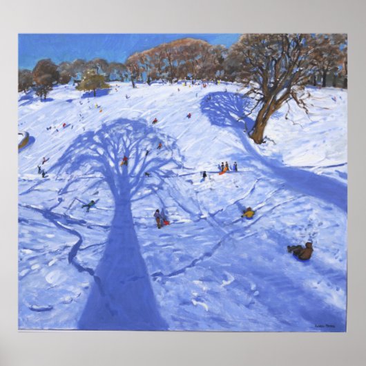 Chatsworth winter tree shadows 2013 poster (Vorne)