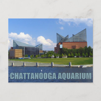 Chattanooga Aquarium Postkarte