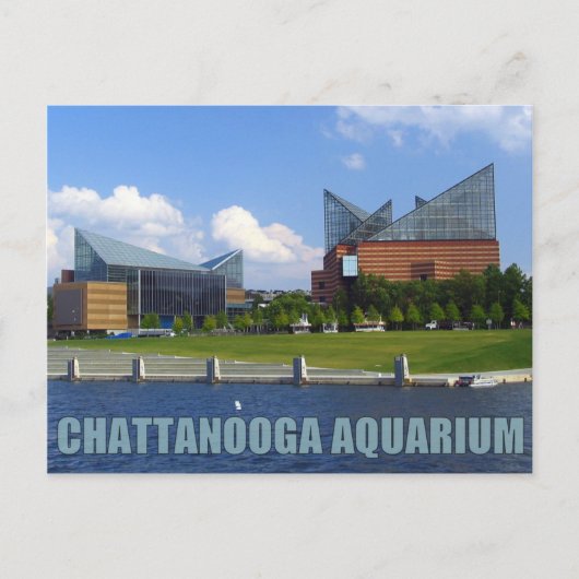 Chattanooga Aquarium Postkarte (Vorderseite)