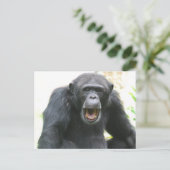 Chatty Chimp Postcard Postkarte (Stehend Vorderseite)