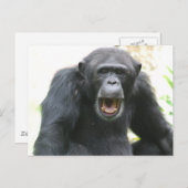 Chatty Chimp Postcard Postkarte (Vorne/Hinten)