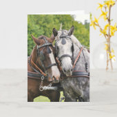 Chatty Pferde Geburtstag Karte (Gelbe Blume)