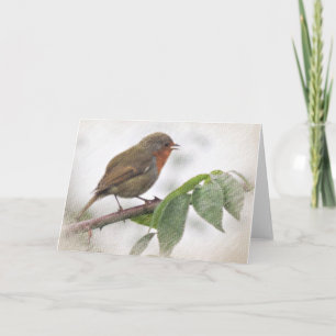 Chatty Robin, Greeting Card, envelopes included Feiertagskarte