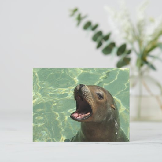 Chatty Sea Lion Postcard Postkarte (Stehend Vorderseite)
