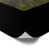 Chautauqua Park - Boulder, Colorado Poster (Ecke)