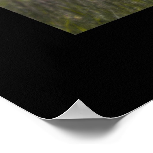 Chautauqua Park - Boulder, Colorado Poster (Ecke)