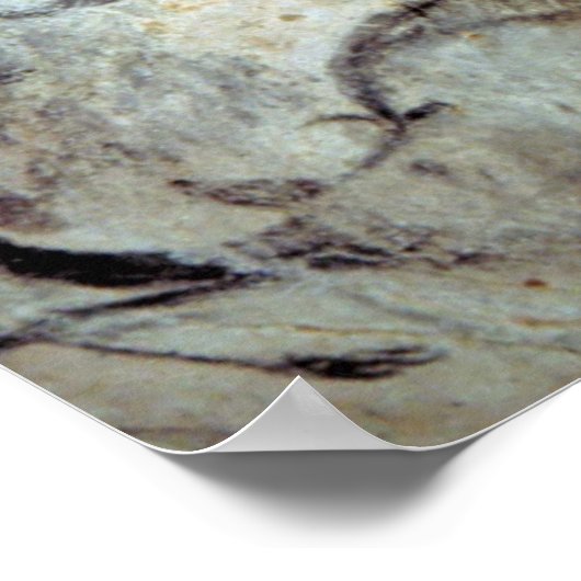 Chauvet Höhle Pferde Poster (Ecke)