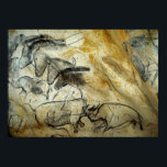 Chauvet Höhle Pferde und andere Malereien Poster<br><div class="desc">Schöne prähistorische Kunst aus den Chauvet Höhlen in Frankreich.</div>