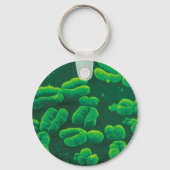 Chaveiro cromossomos schlüsselanhänger (Vorderseite)