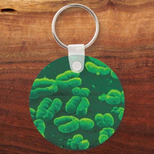 Chaveiro cromossomos schlüsselanhänger (Vorderseite)