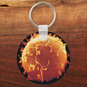 Chaveiro embriologia schlüsselanhänger (Vorderseite)