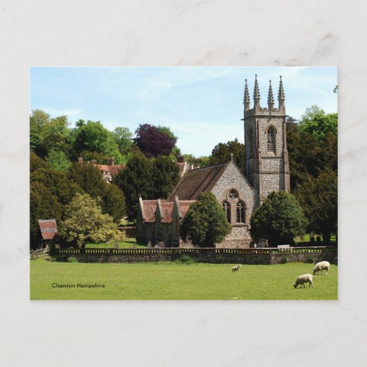 Chawton Hampshire - Schafe neben der Kirche Postkarte (Vorderseite)
