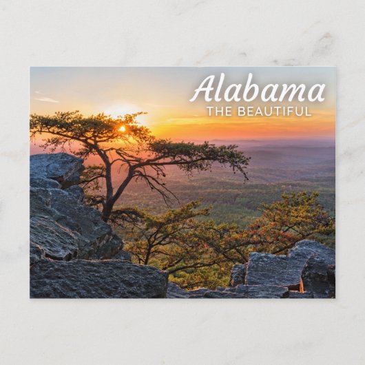 Cheaha Staat Park, Alabama Postcard Postkarte (Vorderseite)