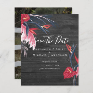 CHEAPEST FOTO Rett Dates Pampas Grass Tropical