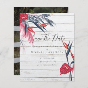 CHEAPEST FOTO Rett Dates Pampas Grass Tropical