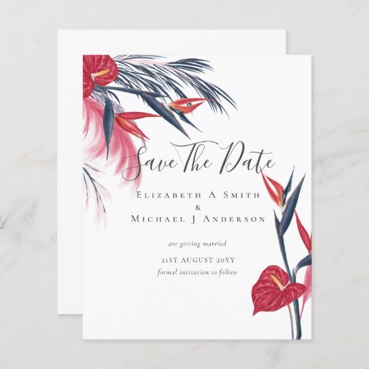 CHEAPEST FOTO Rett Dates Pampas Grass Tropical (Vorne/Hinten)